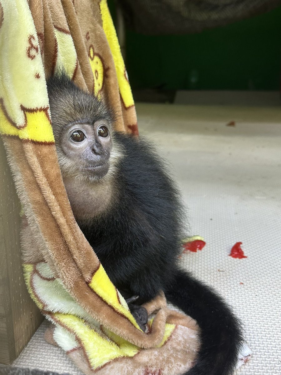 空🌈sora (@ku1127) / X