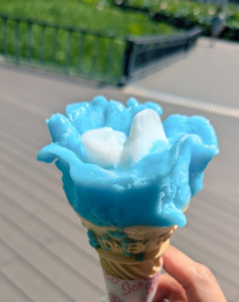 AprR3O2Hmk6wZFp's tweet image. 人生初ババヘラアイス⛱️
男鹿の塩を使った、サイダー🥤＆レモン味🍋
＃秋田