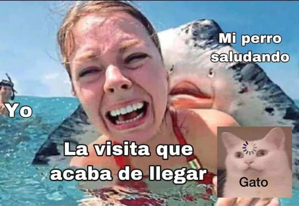 Guayaco sin paro (@sinparoguayaco) on Twitter photo 