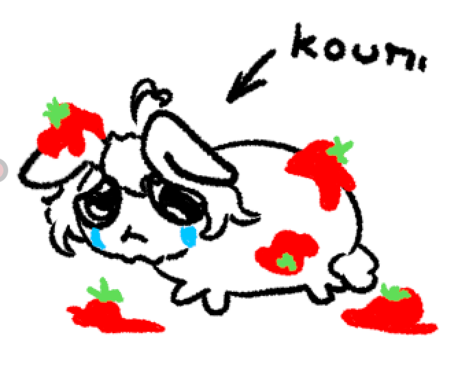 ⋆ Koumi Chèrie 🎪🍒【EXTENSIBLE KOUMIVERSARIO】 tweet media