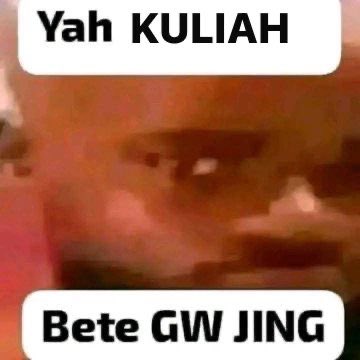 calicoheals's tweet image. Ini