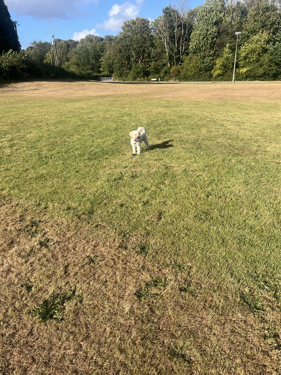 joanna markham tweet media