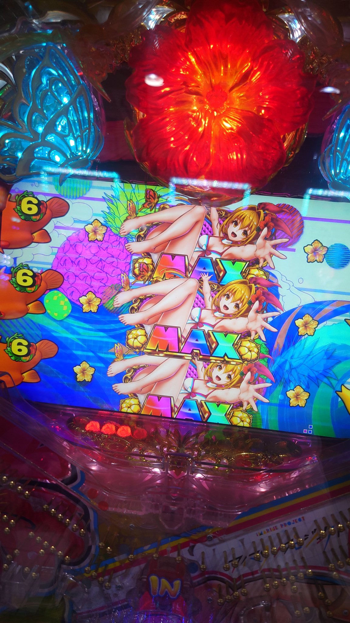 こねこ💳🐤🍜 on X: 
