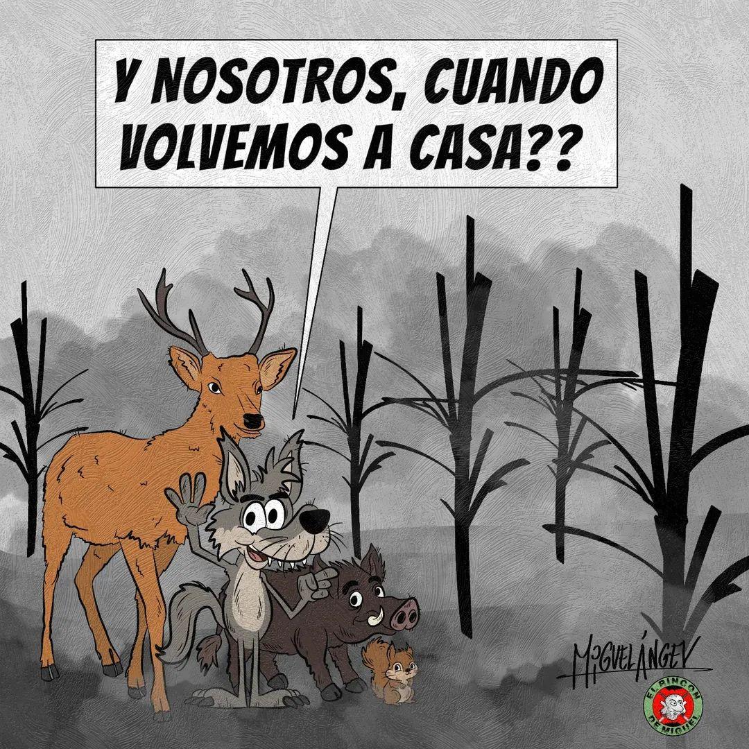 #incendios