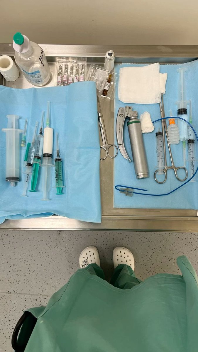 𝐋𝐚𝐯𝐞𝐧𝐝𝐞𝐫. tweet media