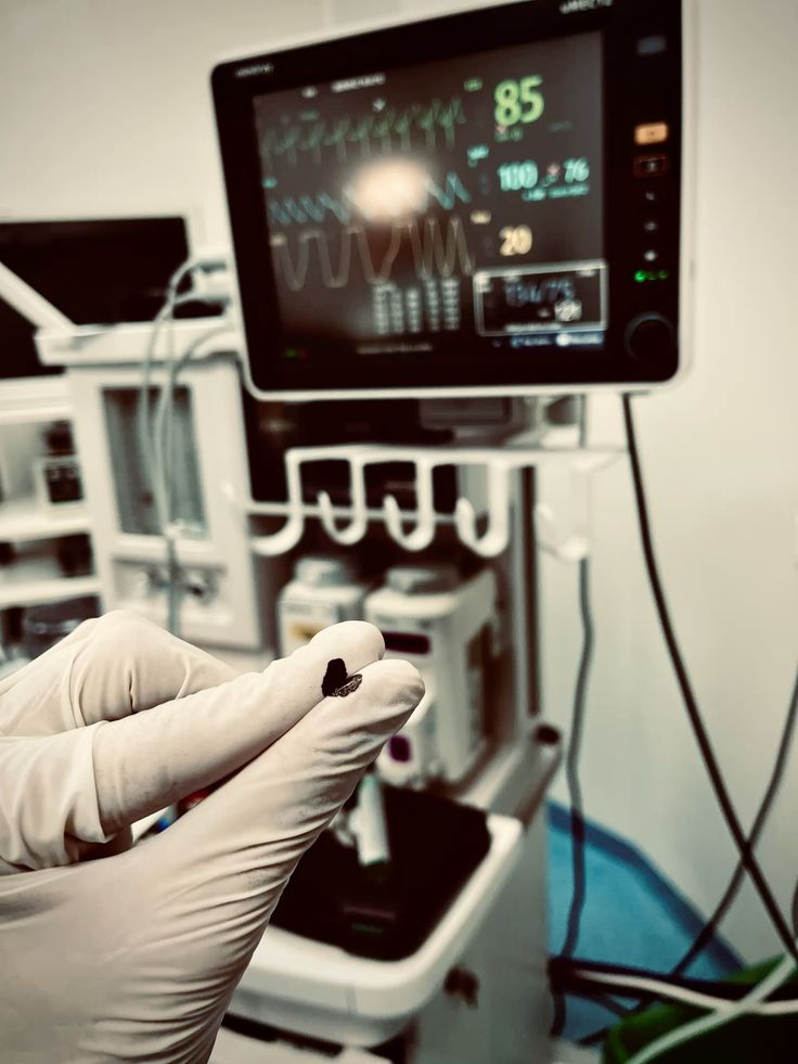 𝐋𝐚𝐯𝐞𝐧𝐝𝐞𝐫. tweet media