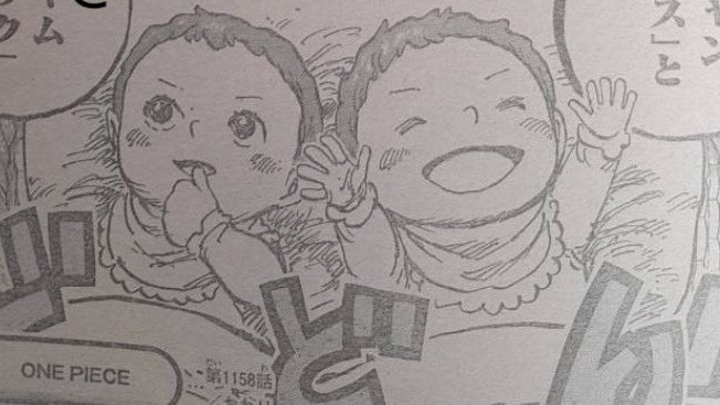 #سبويلر_ون_بيس 
شامروك مبوز من هو صغير