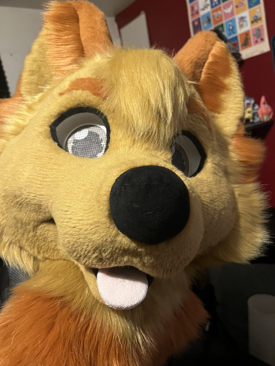 All clean, brushed, and ready for megaplex! 😤