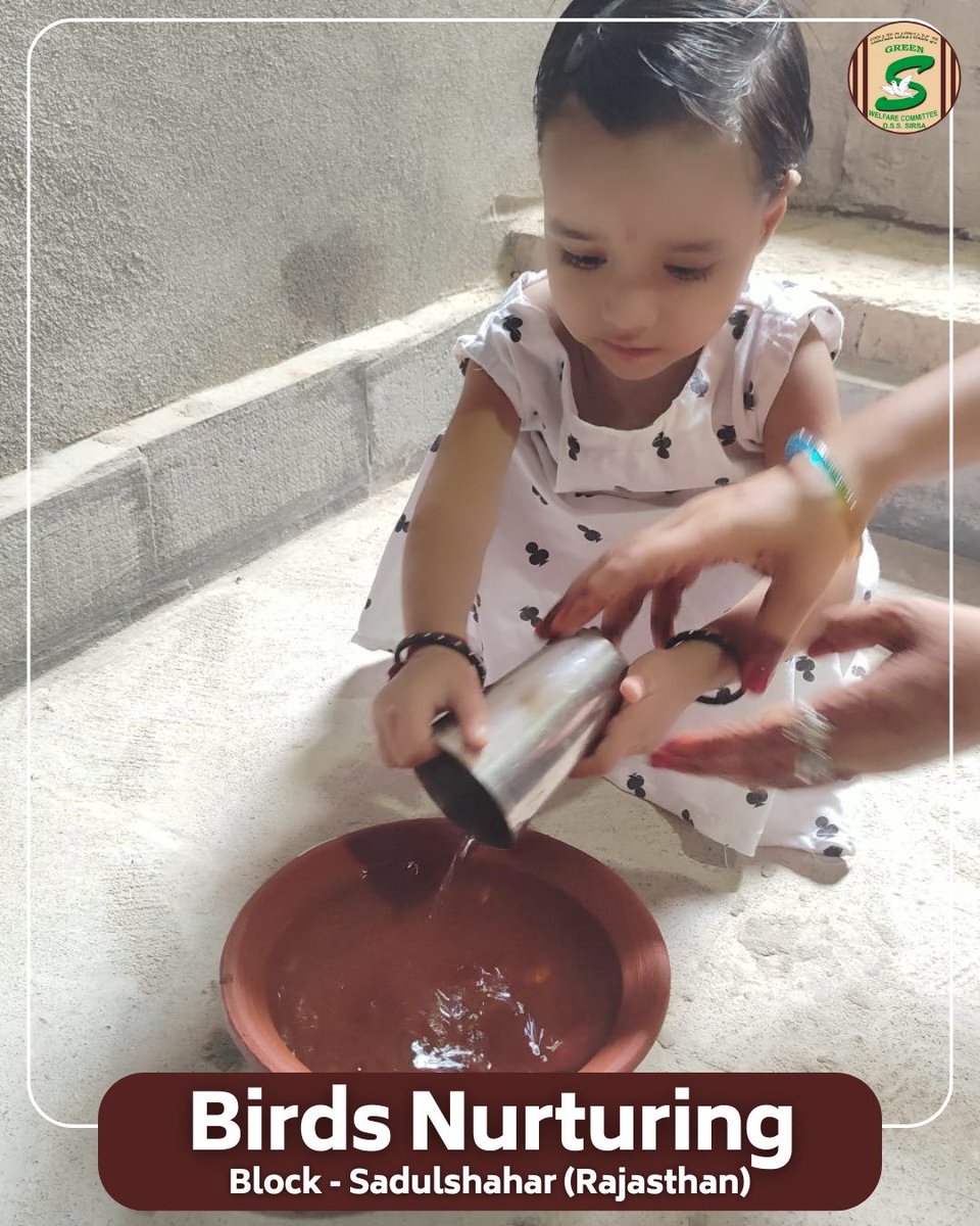 GreenSwelfares's tweet photo. In the harsh summer heat, Shah Satnam Ji Green ‘S’ Welfare Committee volunteers are placing water 💦 &amp; feed in rooftops, balconies &amp; parks to protect our feathered friends. Small acts, big impact—because every life matters.

#BirdsNurturing #SummerRelief #NurtureNature https://t.co/bApX7DV3sO