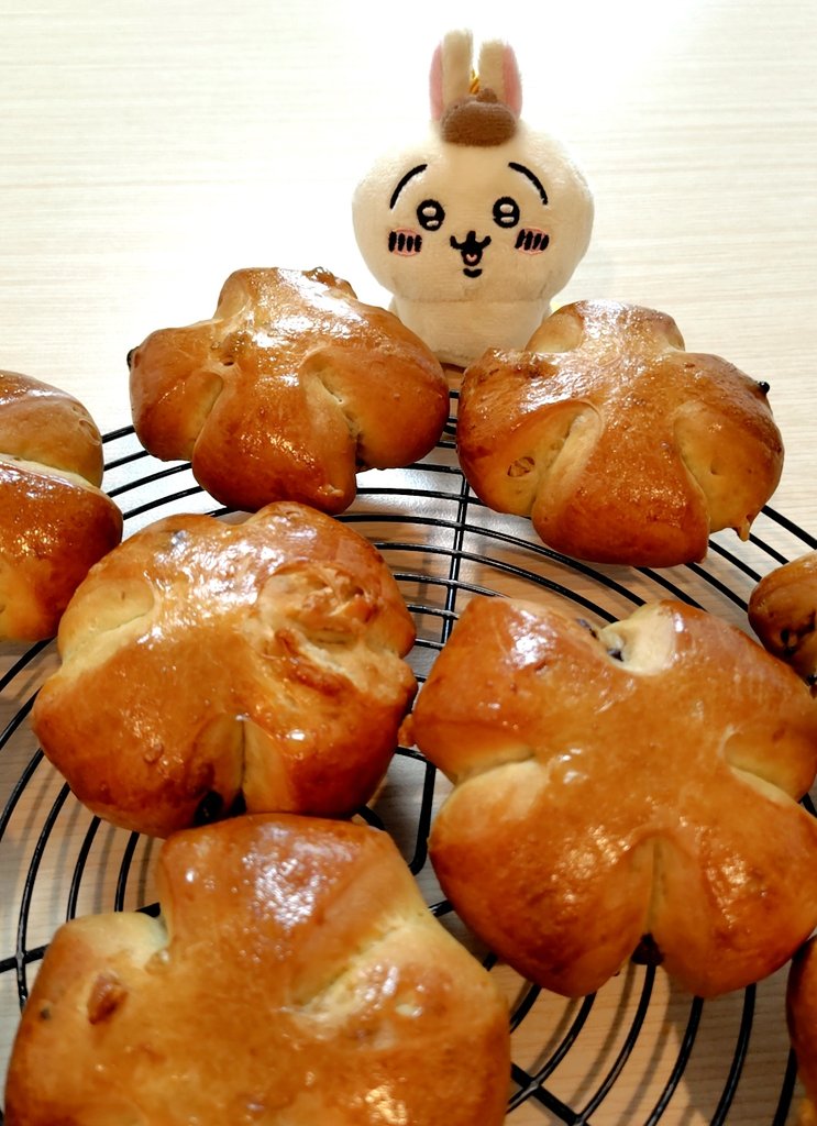 くるみパン✨
分かりにくいけど、チョコチップも入れました(⁠◍⁠•⁠ᴗ⁠•⁠◍⁠)
徐々に秋のスイーツやドリンクが出てきてるから、ちょっとワクワクしている今日このごろ🍠🌰
#パン作り