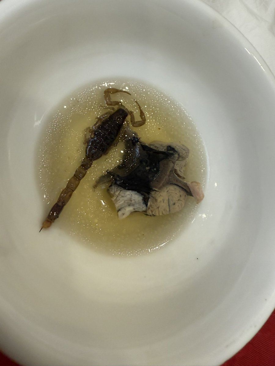 さそりのスープ😳
#さそり #サソリスープ #江门 #广东省