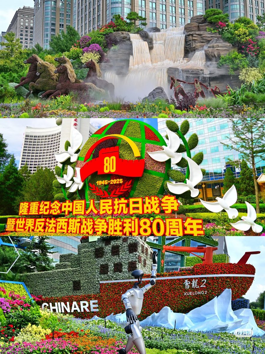 实拍citywalk❤️打卡长安街沿线花坛的震撼~#九三阅兵