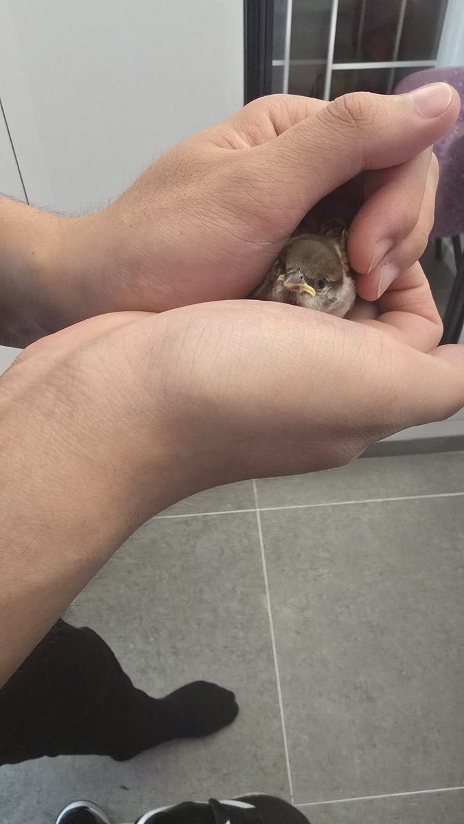 ronipan (@wooyeong20) on Twitter photo 