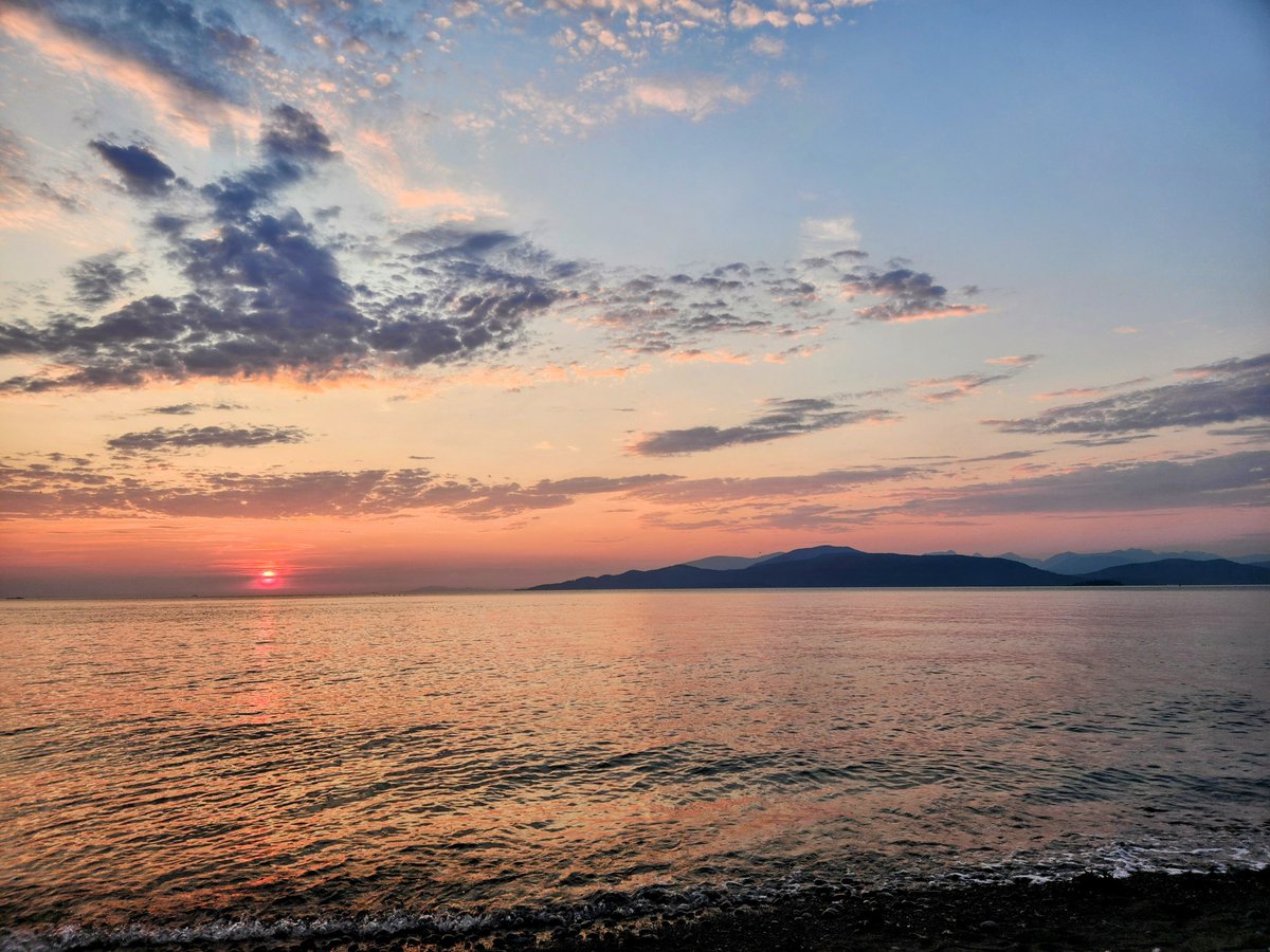 Michele Mary Bernadine tweet media