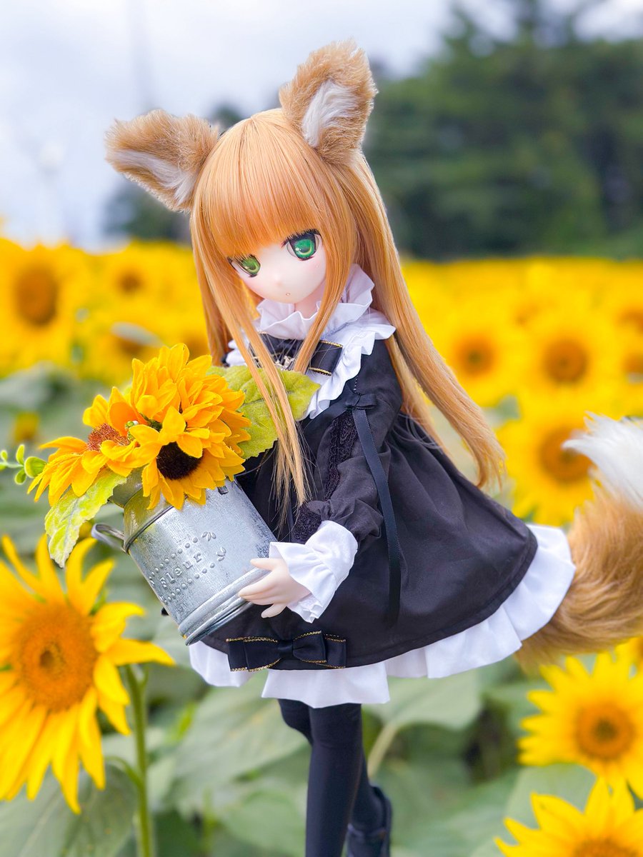 カワイイ(*´-`)