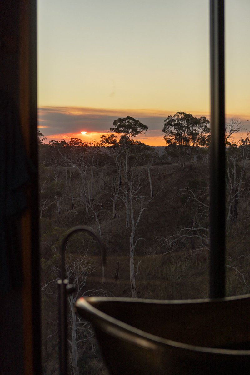 Dreamy sunset, dreamy @Olivia_Reid_X 💛🧡❤️🤎