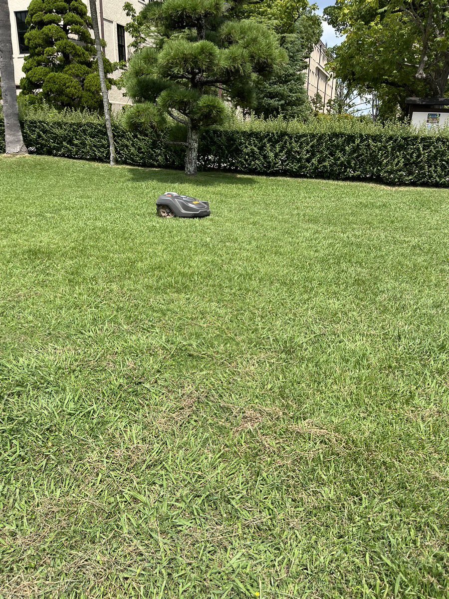 毎日毎日…暑いですね🥵
皆様、ご体調はいかがでしょうか？
まだまだ暑い日が続きますので、ご自愛下さいね！

そして、本日も彼は頑張っております🌱
#kg
#電動草刈機
#関学
#中芝お掃除中