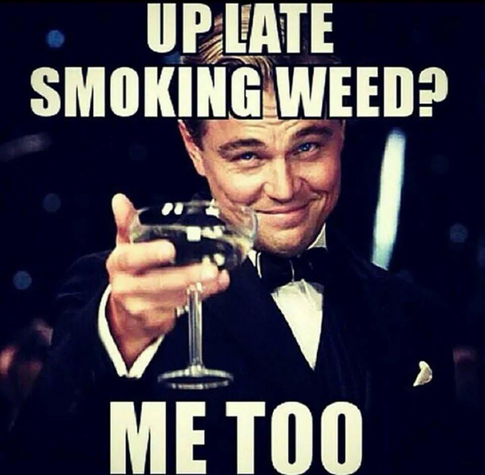 Cheers 🌿