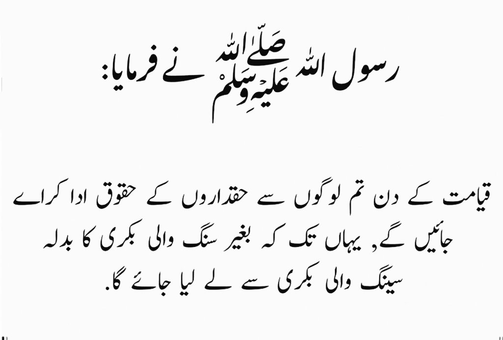 UmrahMarkaz_'s tweet image. रसूलुल्लाह ﷺ ने फ़रमाया:

क़यामत के दिन तुम लोगों से हक़दारों के हकूक अदा कराएं जायेंगे, यहाँ तक के बिना सिंग वाली बकरी का बदला सिंग वाली बकरी से लिया जायेगा |

सहीह मुस्लिम : 2582

#HadithOfTheDay #Dailyhadith
