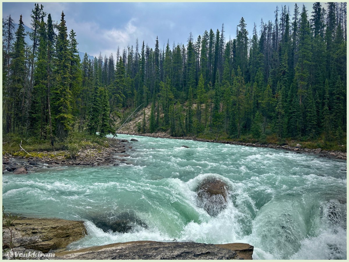 venkkiram's tweet photo. Nature is beautiful..
உள்ளம் நனைக்கும் இயற்கை..
#venkkiclicks #NatureIsBeautiful #CanadianRockies #NaturePhotography #WildernessCulture #RiverMagic #FallVibes #IntoTheWild #NatureLovers #TravelPhotography #ExploreCanada https://t.co/eoCGCOtNrs