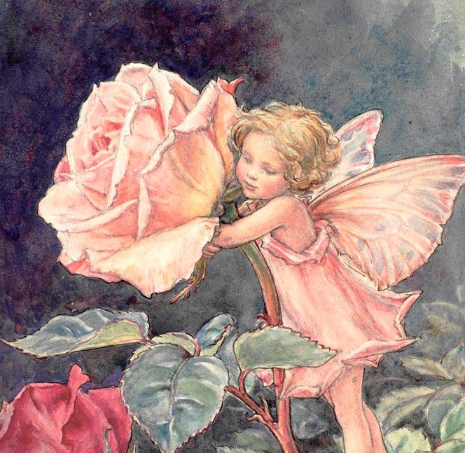 dreamyyarchive's tweet image. flower fairies by cicely mary barker 🧚🏼‍♀️