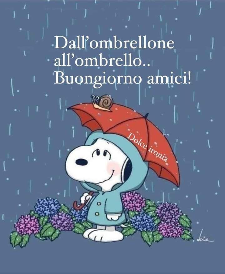 Buon giovedì ☔️🌧️