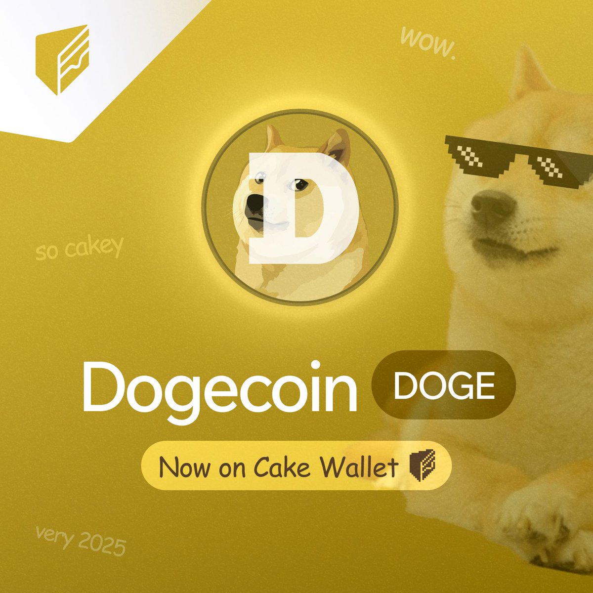 🐕 Much wow! Dogecoin has officially arrived in Cake Wallet v5.3! Half a  million users can now store, send, and exchange DOGE with the same privacy  and security they expect from us.