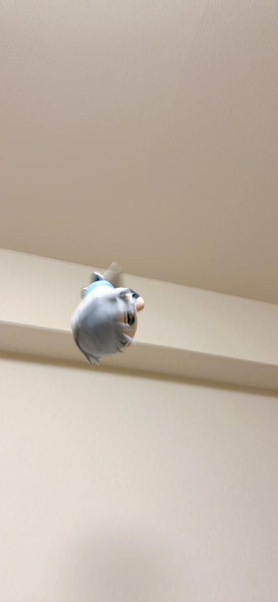 博士 (@otenki_hakase) on Twitter photo 