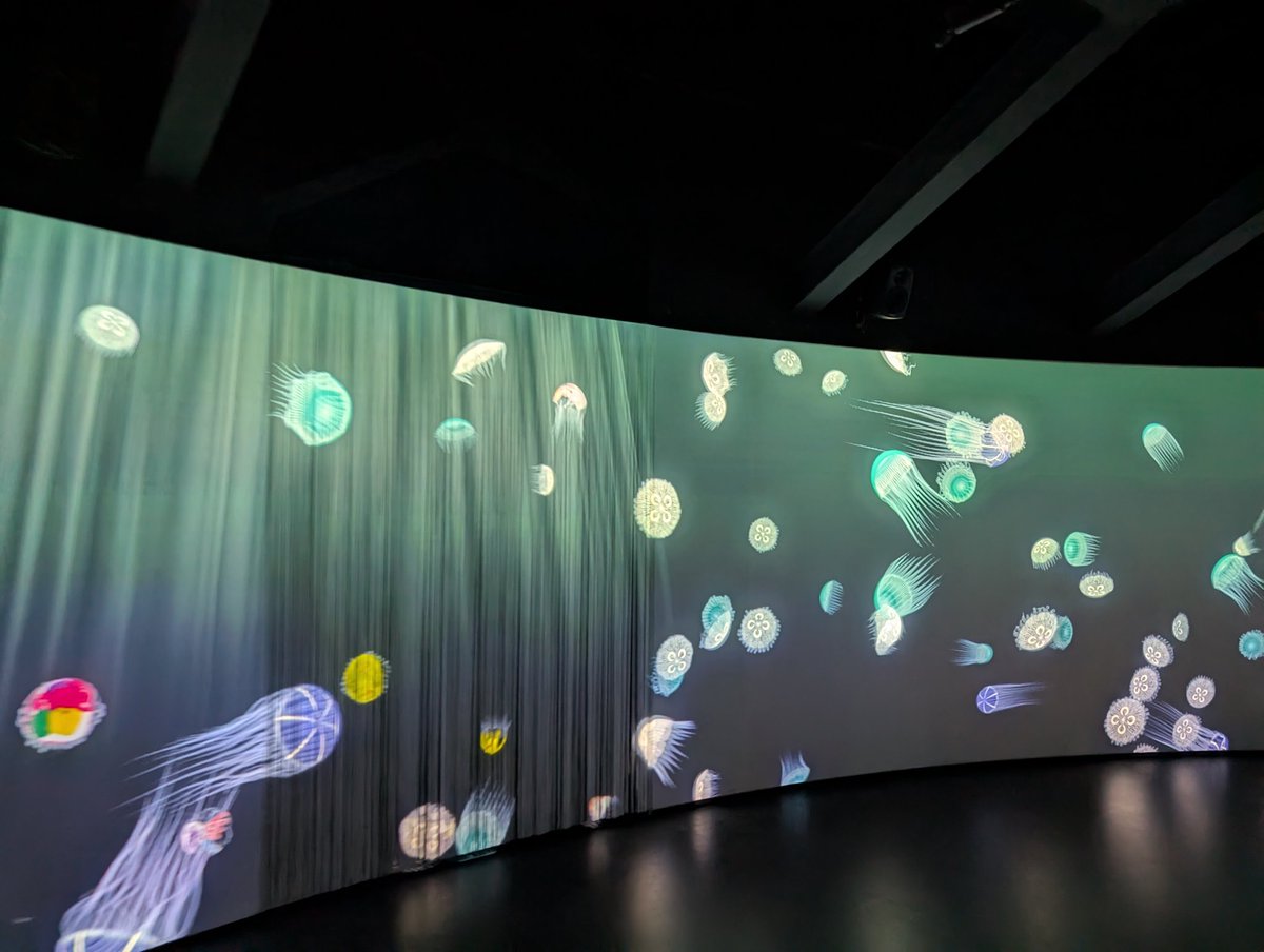 朝はくらげへ。愉快な音楽に合わせて踊ってたらうささだを床に落とした（後ろのひとが拾ってくれた）