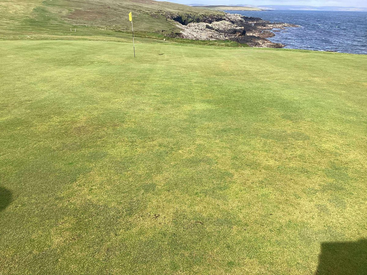 Thorntrees Amenity tweet media