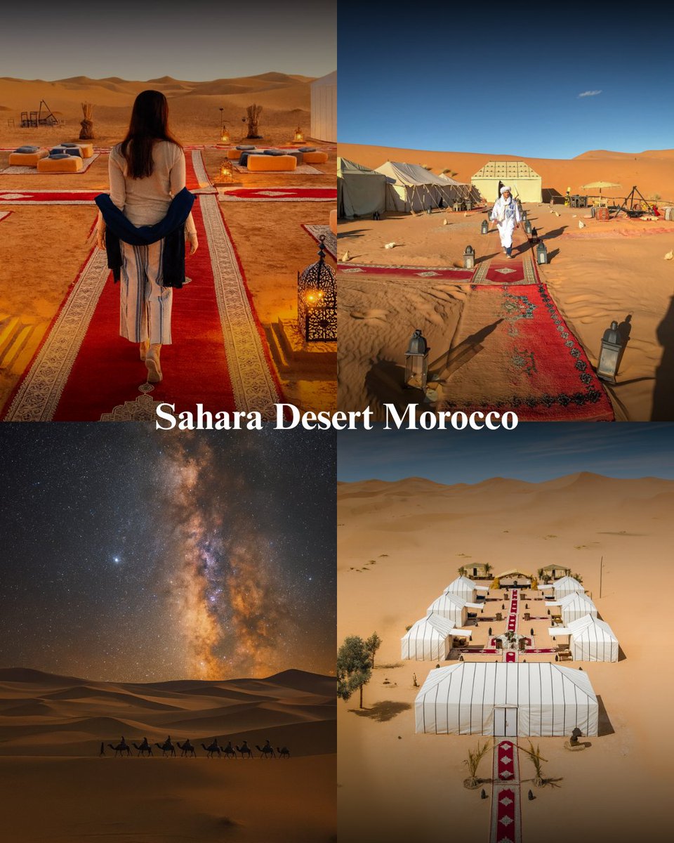 Magic_Morocco_'s tweet photo. Waves of sand stretch as far as the eye can see, painted by the sun in shades of gold and amber. 🌅 Whether it’s the silence of the dunes, a magical camel ride. 🐪⭐

📍 Merzouga, Morocco
Ready to explore? Apply for your Morocco eVisa now — link in bio! ✈️ https://t.co/p0n4UokEAX