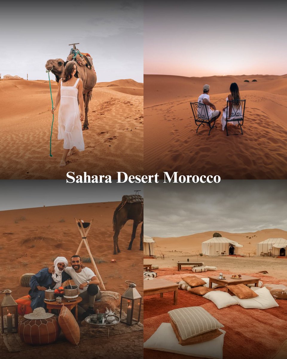 Magic_Morocco_'s tweet photo. Waves of sand stretch as far as the eye can see, painted by the sun in shades of gold and amber. 🌅 Whether it’s the silence of the dunes, a magical camel ride. 🐪⭐

📍 Merzouga, Morocco
Ready to explore? Apply for your Morocco eVisa now — link in bio! ✈️ https://t.co/p0n4UokEAX