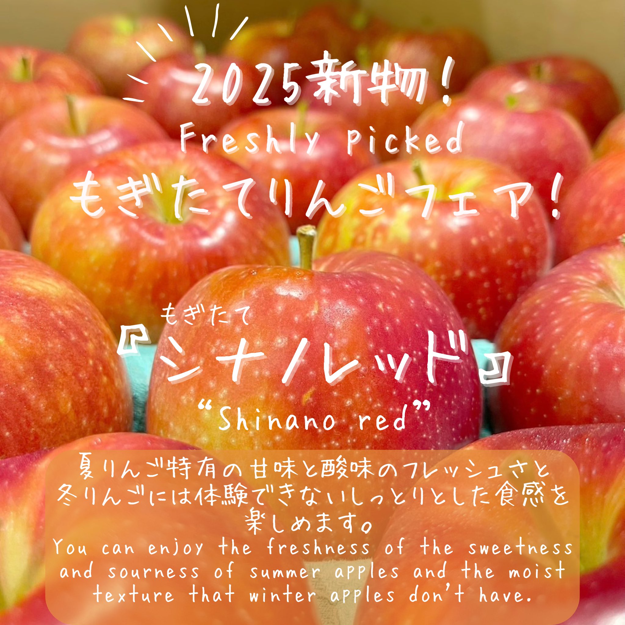 うりんこになりした。お値下げ致しました新品、この春のアルベロベロ POMME L'IMINAL osaka on X: 