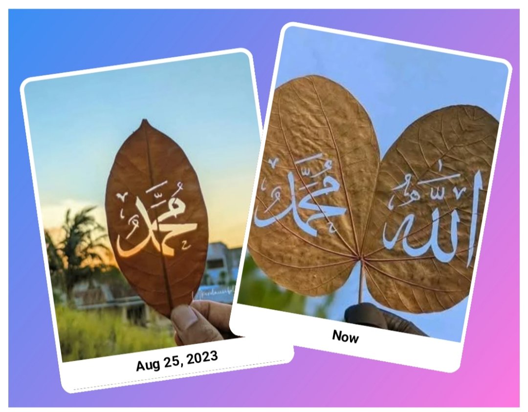 2 years later 📆⏳👣
اللهم صل وسلم وبارك على نبينا وحبيبنا محمد وعلى آله وصحبه أجمعين