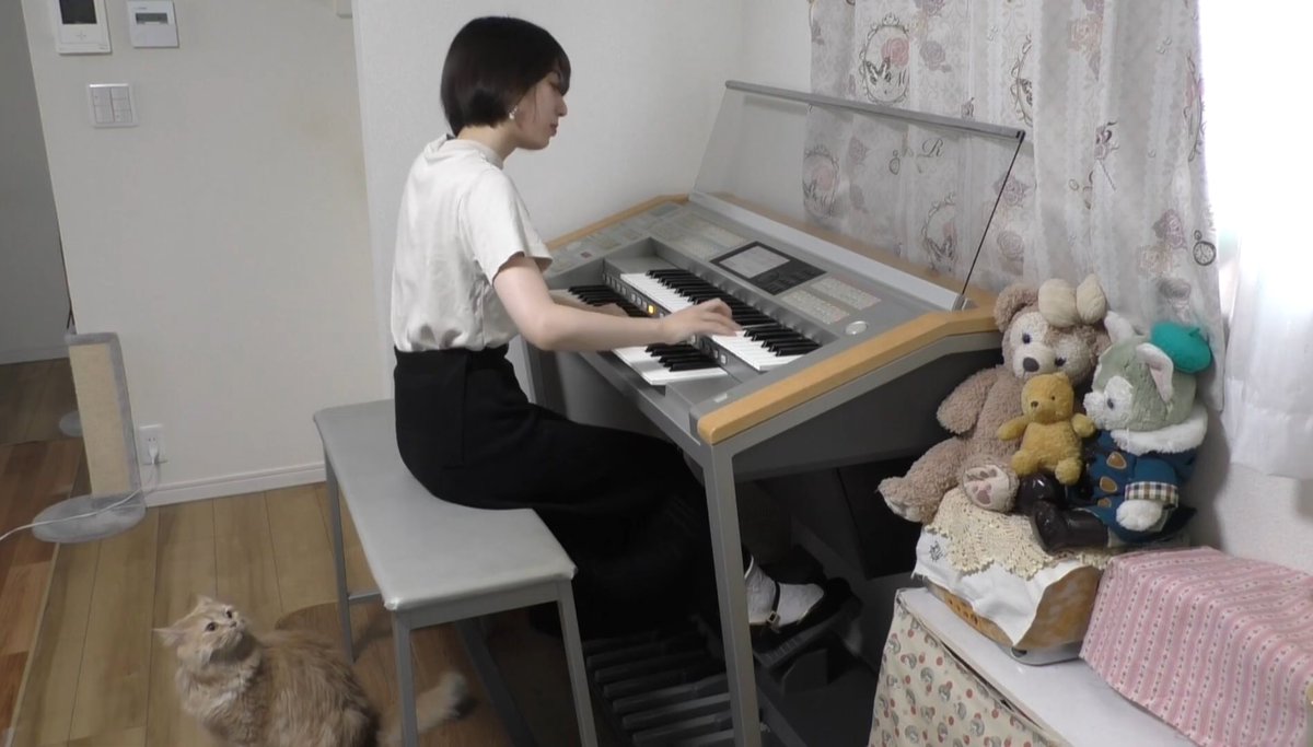 Megu_Ele's tweet photo. 📢YouTubeに新しい動画を投稿しました🎹✨

今回は明日の金曜ロードショーで放送の、

「もののけ姫」より
「アシタカせっ記」を演奏しました。

猫ちゃん大ハッスル回です🐈

動画はこちらから⬇️
https://t.co/VJ4KgUci5G https://t.co/64QxmLsWwH