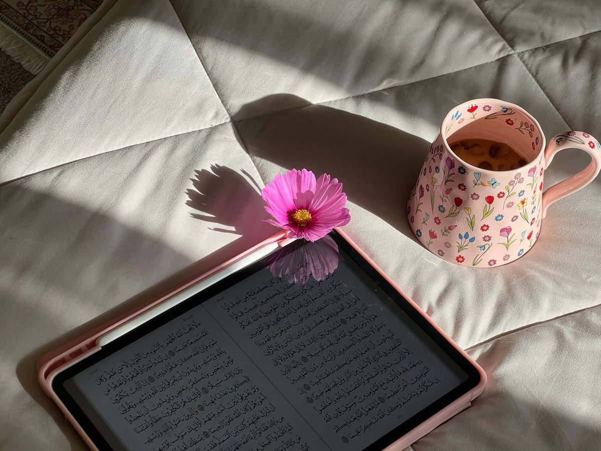 الشمعه المضيٸه✨💦 tweet media