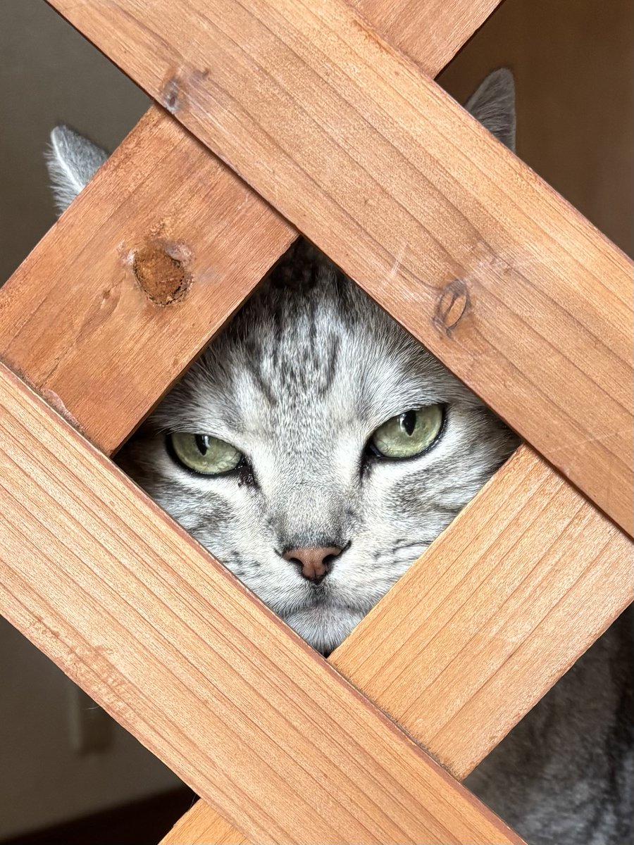 わたしの帰りを待ってくれてたイケメン