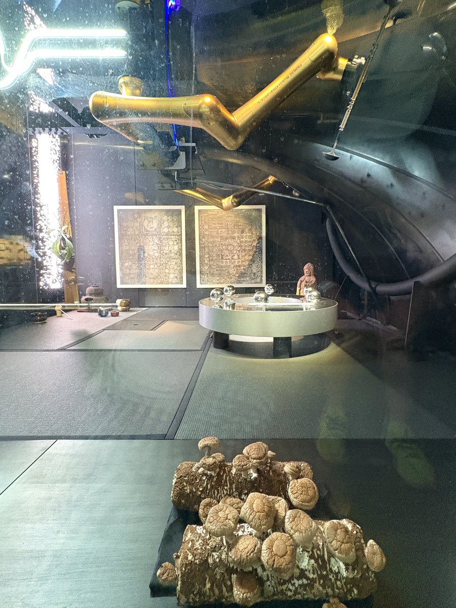 ヨッシー (@haha_haha_56) / Posts / X