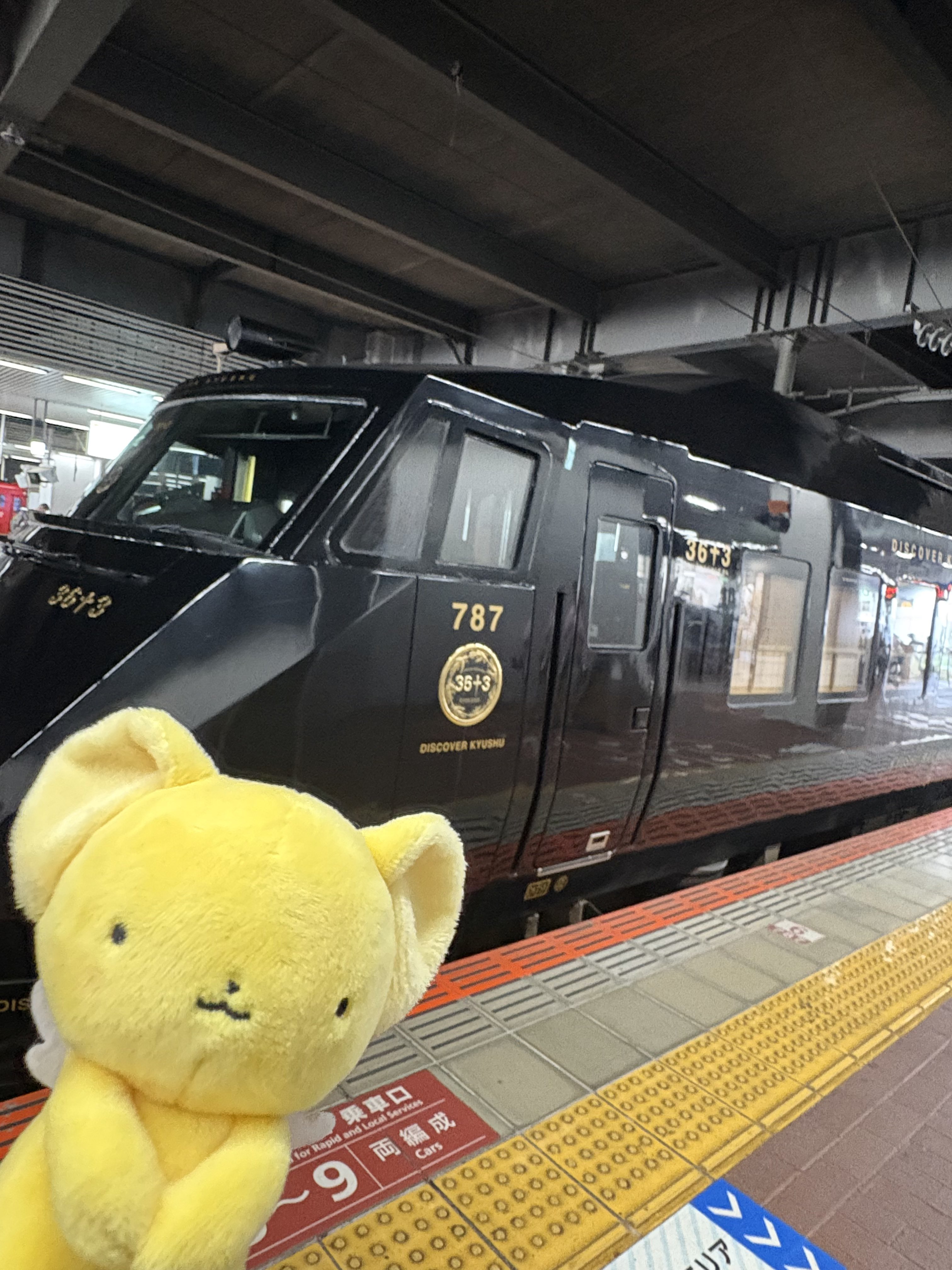 Cross☆です♥ コンバース CONVERSE オールスター ゴールドロゴラベル OX