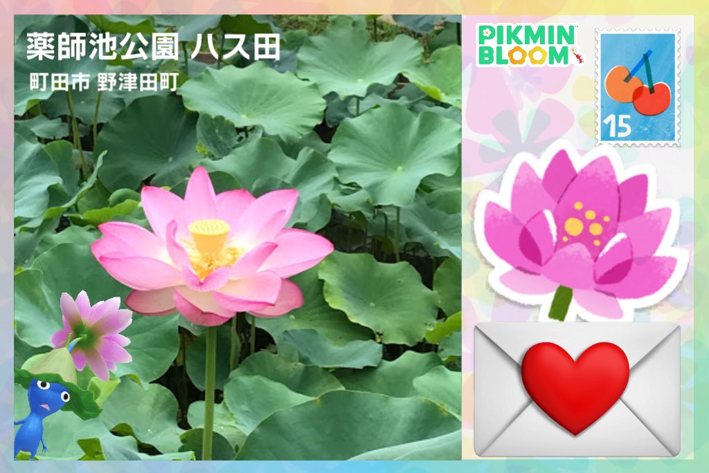 moon023__'s tweet photo. 🌻🪷🪻💐🌷🌸
お花のポスカも綺麗でお気に入りʚĭɞ 𓂃 ࣪˖
いつも素敵なポスカやきのこメガホン
ありがとうございます 𐔌՞⁔т · т⁔՞𐦯
#ピクミンブルーム #PikminBloom #피크민블룸 https://t.co/1wrLWyj4Wl