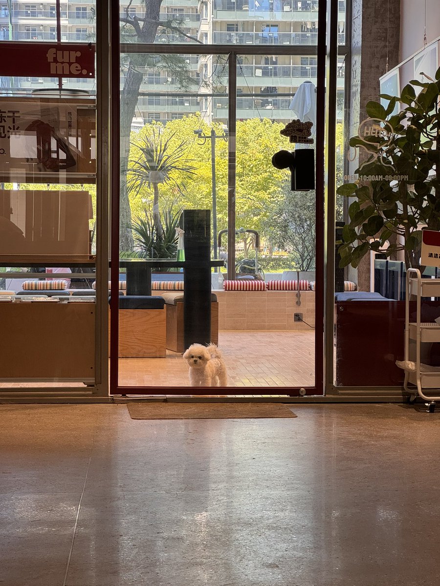 看什么看🐶🐶🐶