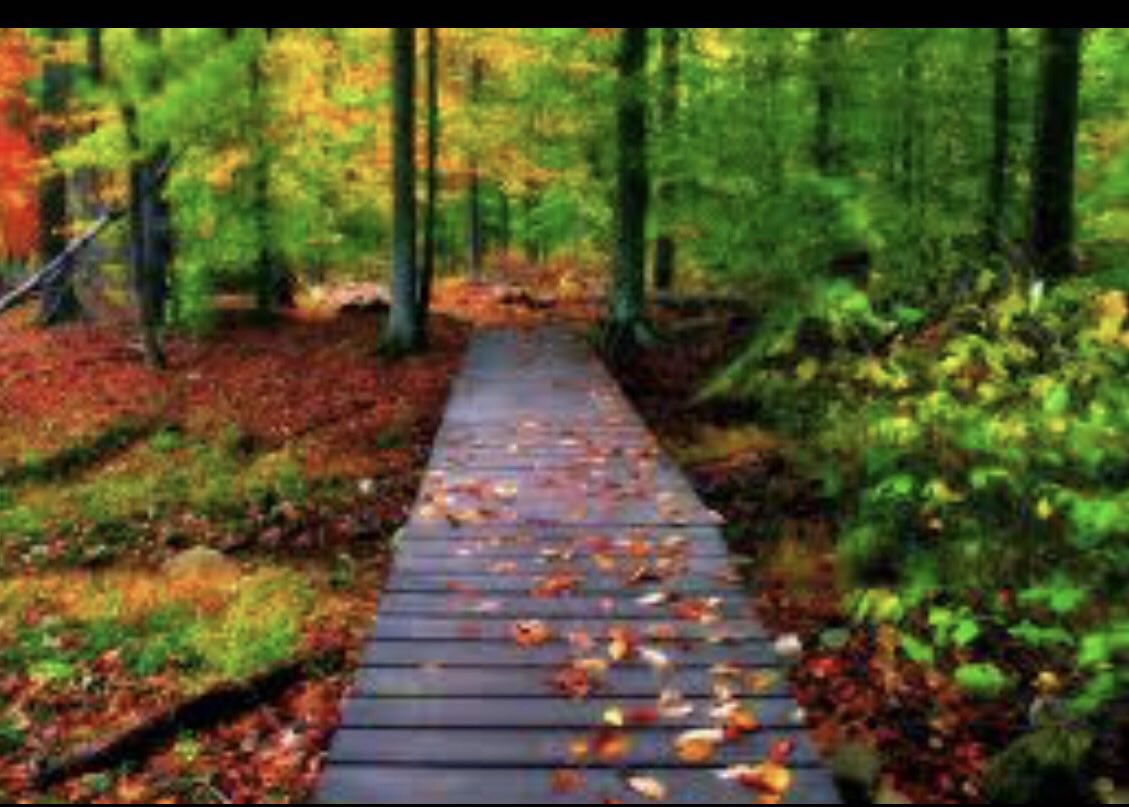 دَع إبتسَامتكَ أولْ مَلامحكَ ؛ فهي لكَ صِحَة ، وَفِي الدِينْ صَدقة ، وَفِي القلب بَهاء
صباح الخير