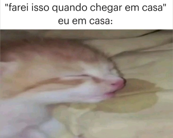 odeiootaco's tweet photo. https://t.co/sOVrWQauoL