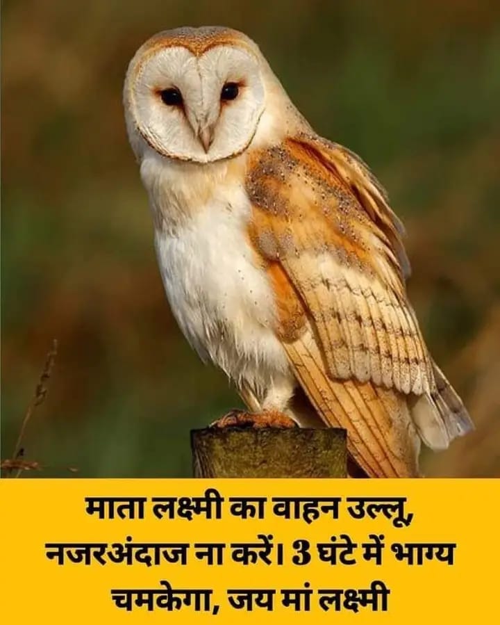 यदि आपके पास कुछ क्षण है तो जय माता दी अवश्य कहे