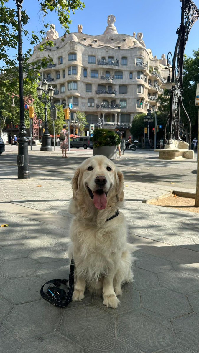 Oggi è il compleanno di questo signore qui
❤️❤️❤️
+8