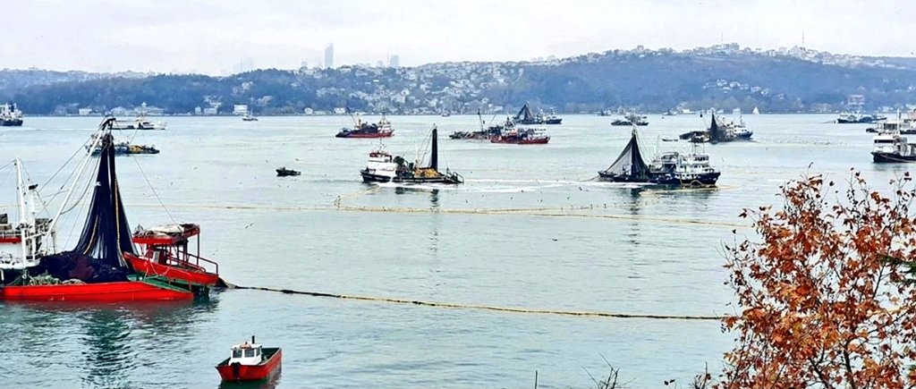 Biyolojik koridor olan İstanbul Boğazının bu kötü hale gelmesine 3 gün kaldı.

Boğazlarımızı koruyacağız.

Mücadele edeceğiz. 

#boğazdaendüstriyelavcılıkyasaklansın