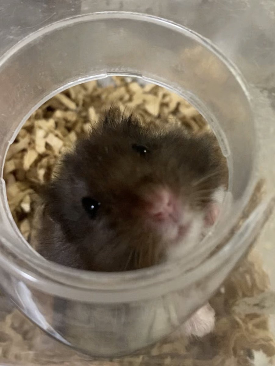 呼んだ?