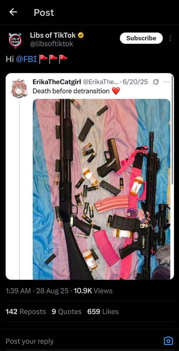 ErikaTheCatgirl's tweet image. Waow i am really famous now! Hi everyone!!! I love you!!!

This shit is fr so funny to me. Some dumbass kills innocent children and somehow I'm next because i dare to defend myself.