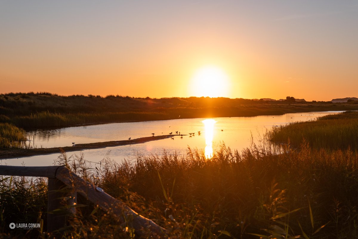 Laura Conijn tweet media