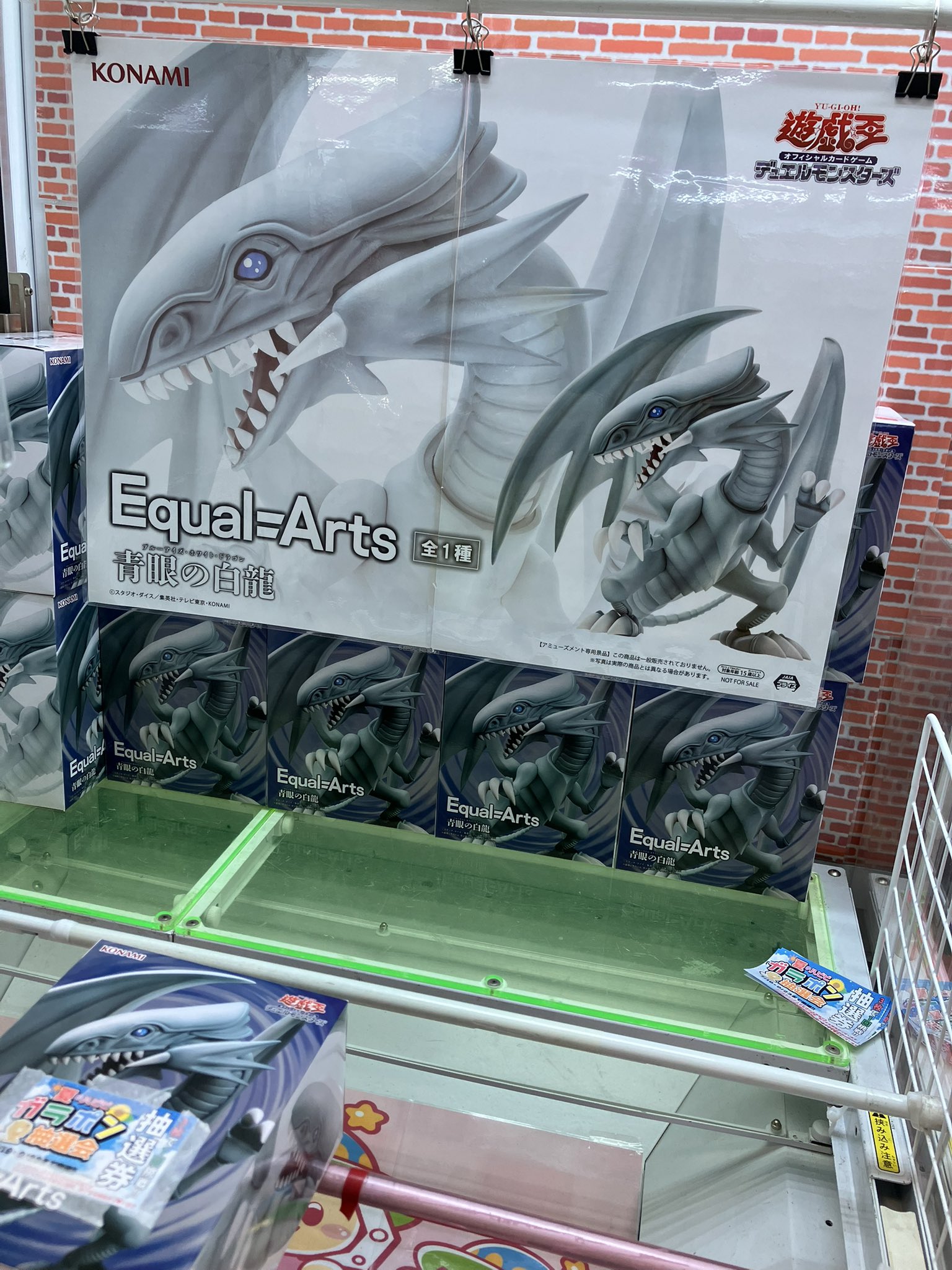 複数購入で1000円割引 新月紫紺大 アートパネル 白龍 上物】獅琉 タイ産 8cm± 白黒ゼブラ | 金魚専門店 AQUASHOP 悟空